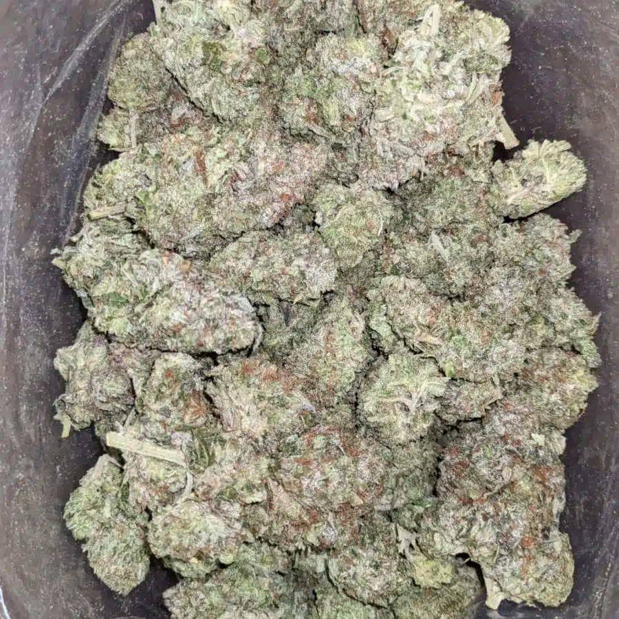 God Bubba 2 1 I God Bubba
