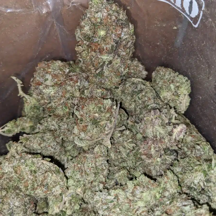 God Bubba 3 1 I God Bubba