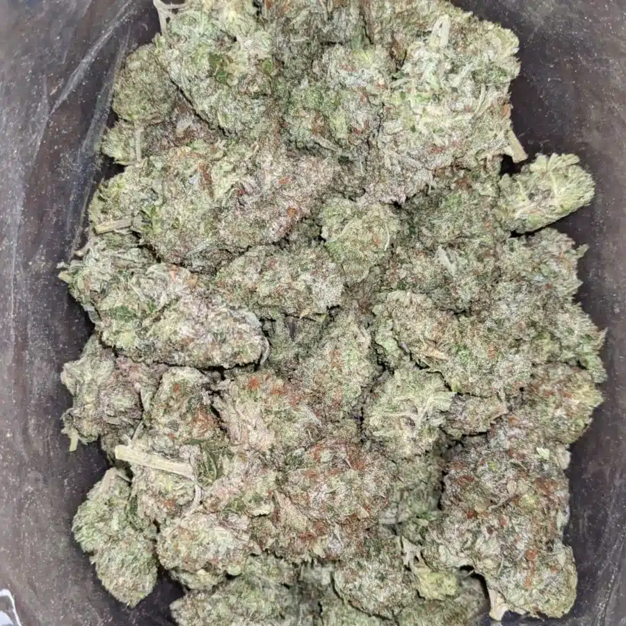 God Bubba 4 I God Bubba
