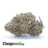 Headband