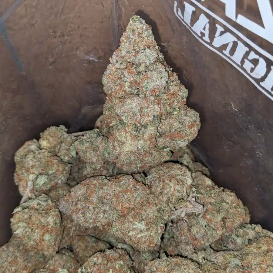 Huckleberry 3 1 I Tony's El Chapo