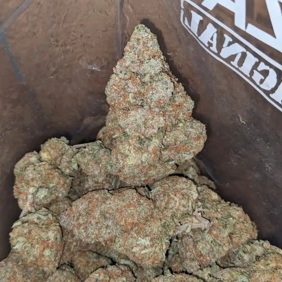 Huckleberry 4 I Tony's El Chapo