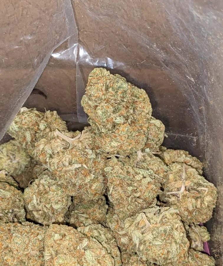 Jetfuel 1 1 I $ 47 Oz - Jetfuel