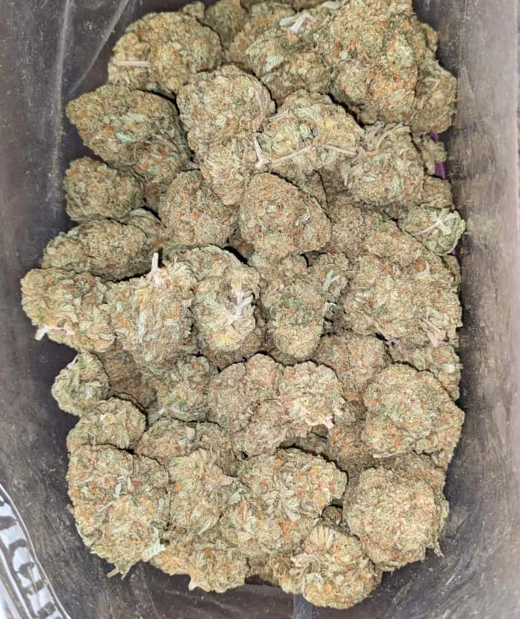 Jetfuel 2 1 I $ 47 Oz - Jetfuel