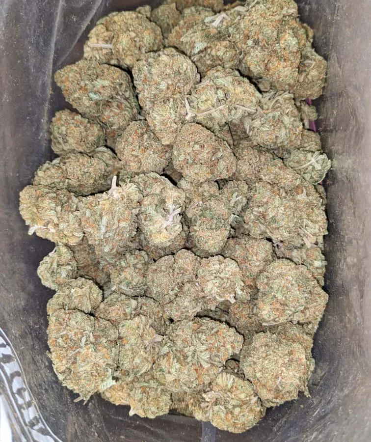 Jetfuel 3 1 I $ 47 Oz - Jetfuel