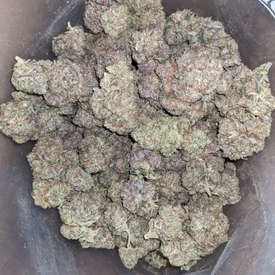 Khalifa Kush AAA 1 I Khalifa Kush AAA