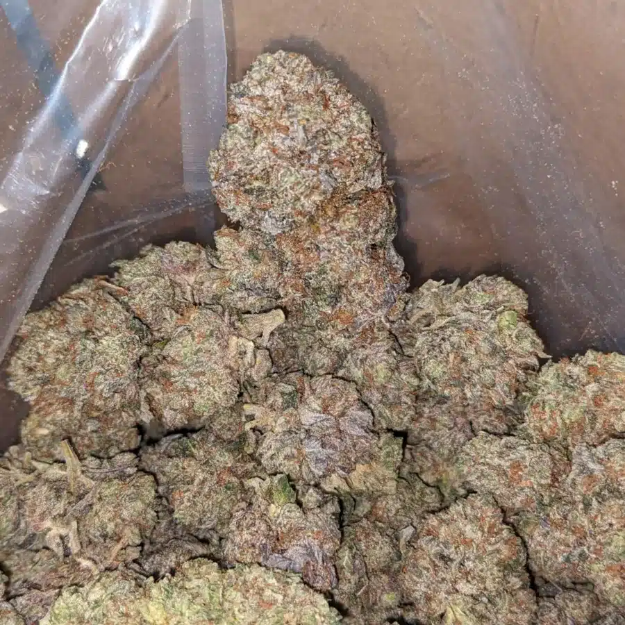 Khalifa Kush AAA 3 I Khalifa Kush AAA