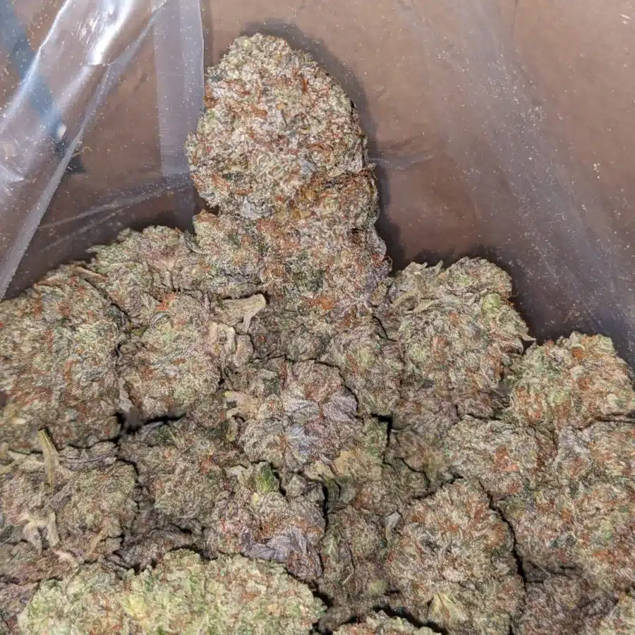 Khalifa Kush AAA 4 I Khalifa Kush AAA