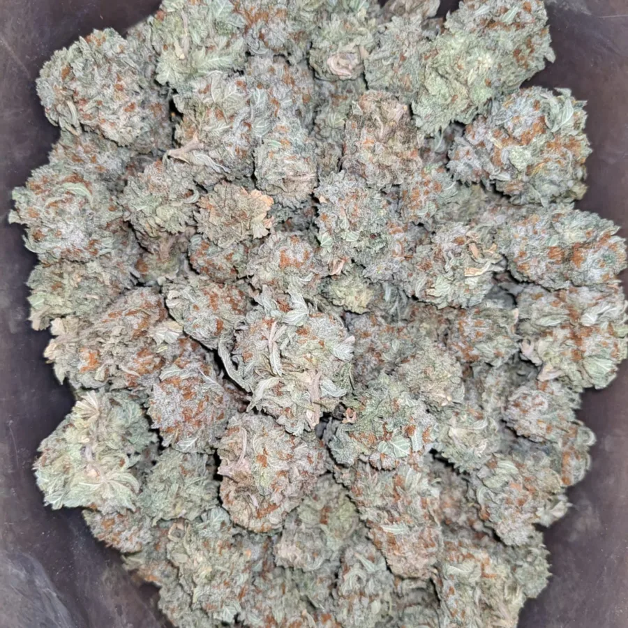 Mandarin Orange - Image 6