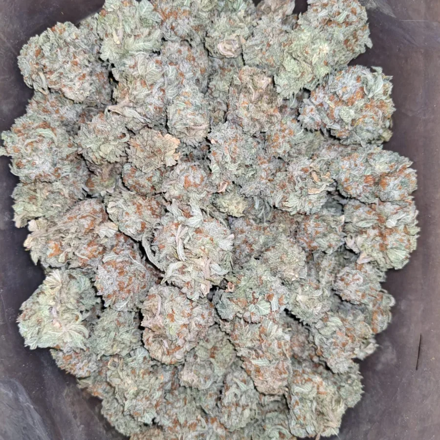 Mandarin Orange - Image 5
