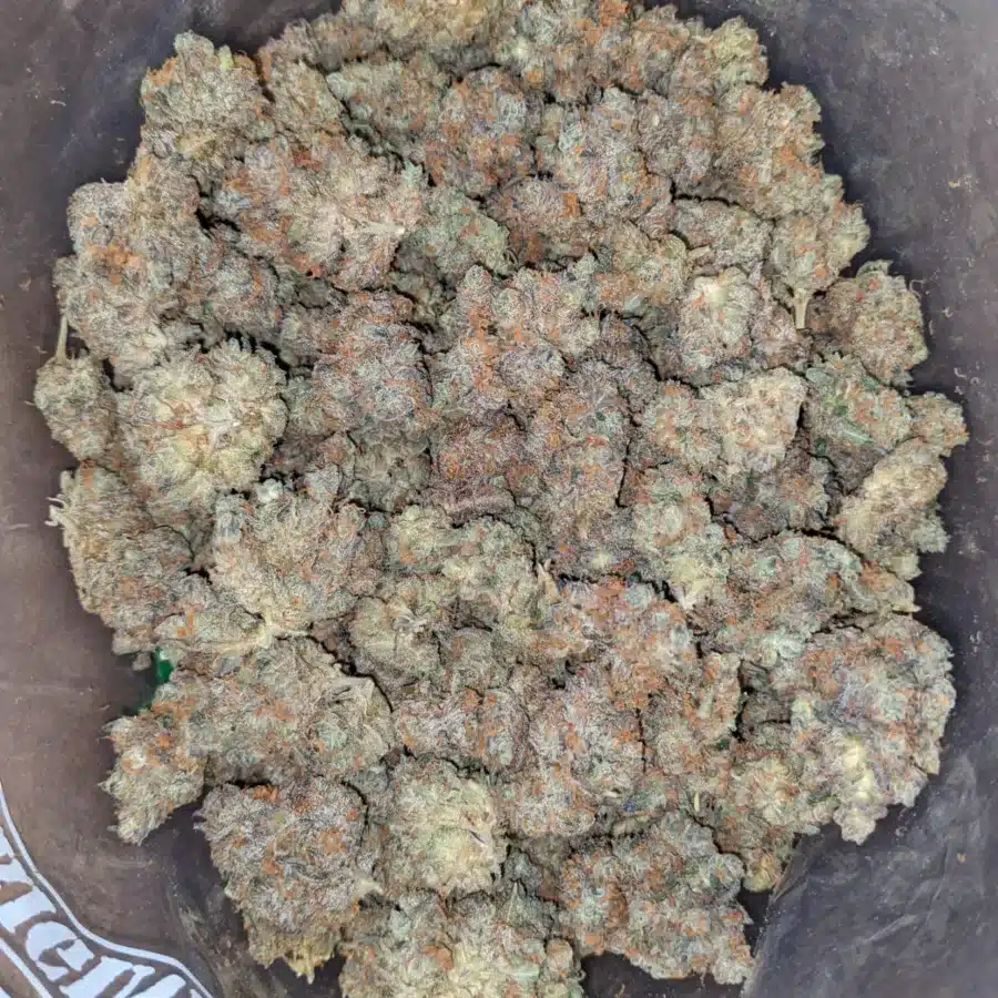 Mendo Breath 1 2 I Mendo Breath