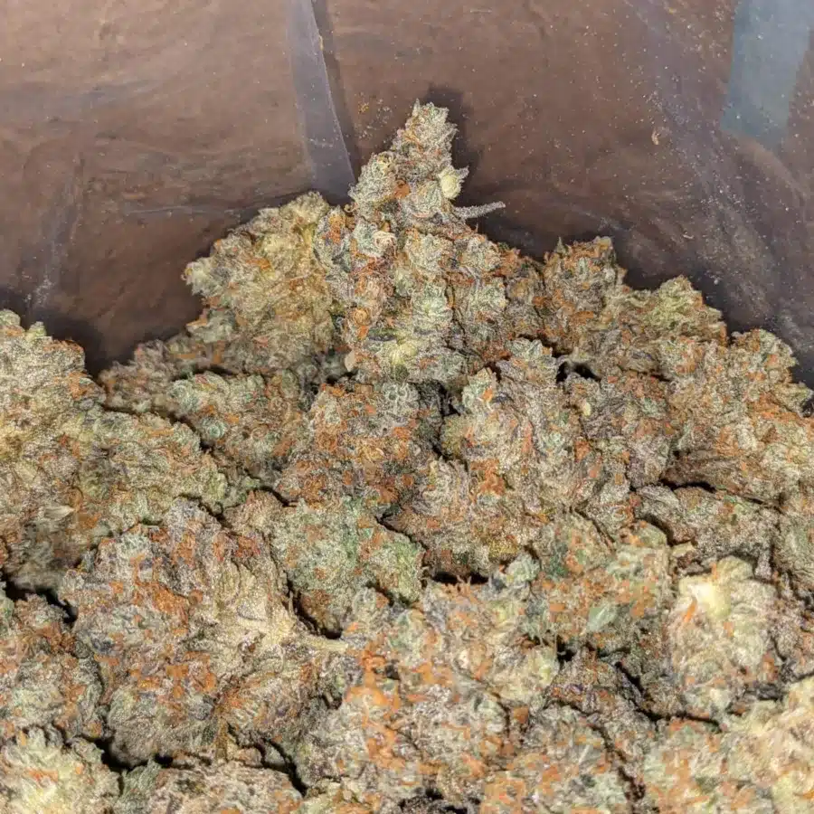 Mendo Breath 2 2 I Mendo Breath