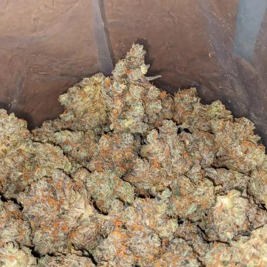 Mendo Breath 3 2 I Mendo Breath