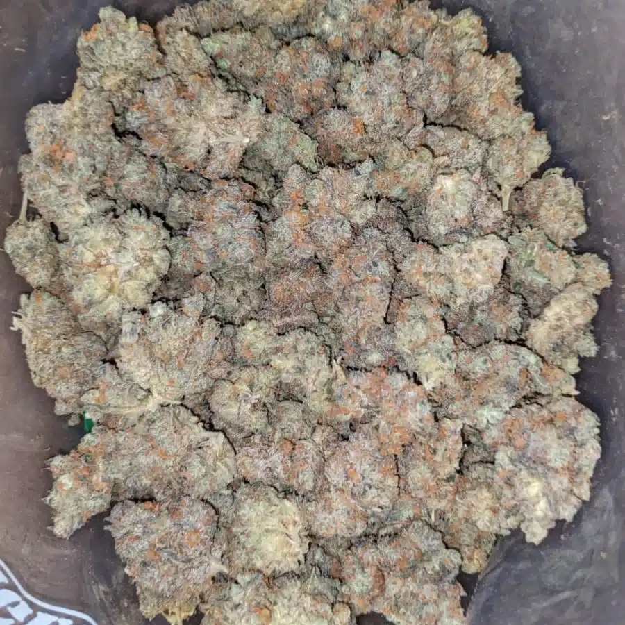 Mendo Breath 4 1 I Mendo Breath