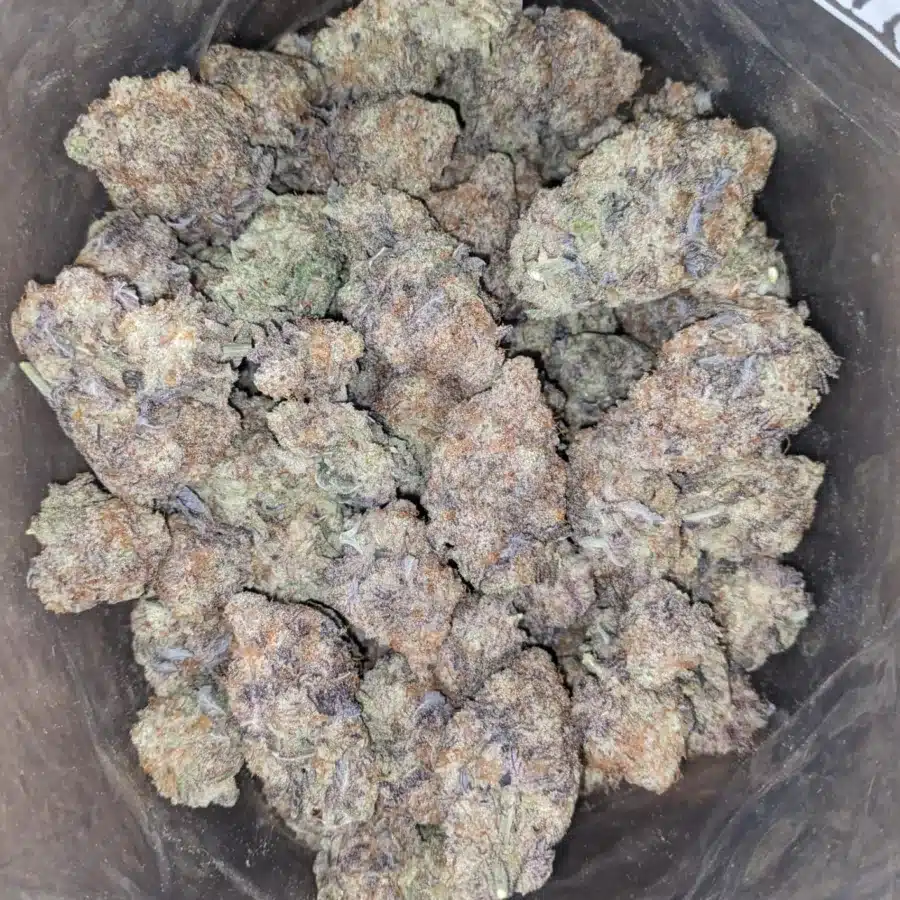 Miracle Alien Cookies x Gmo Cookies 1 I MAC10 x GMO Cookies #2