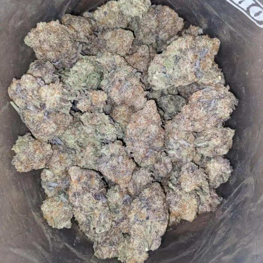 Miracle Alien Cookies x Gmo Cookies 2 I MAC10 x GMO Cookies #2
