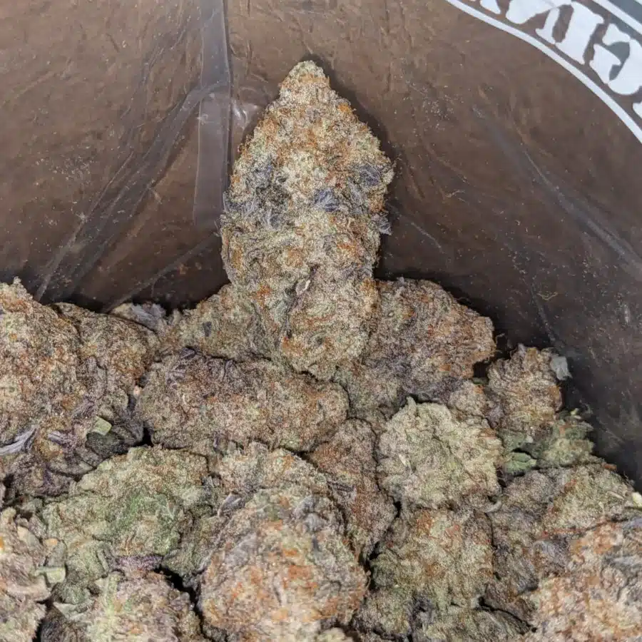 Miracle Alien Cookies x Gmo Cookies 3 I MAC10 x GMO Cookies #2