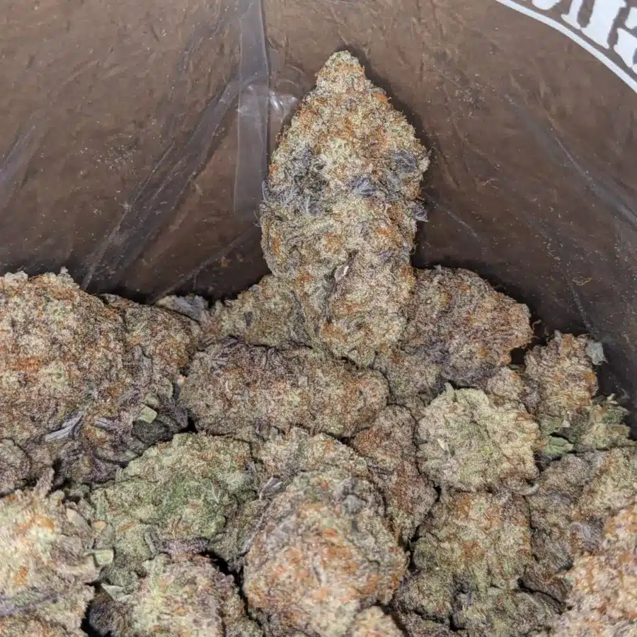 Miracle Alien Cookies x Gmo Cookies 4 I MAC10 x GMO Cookies #2