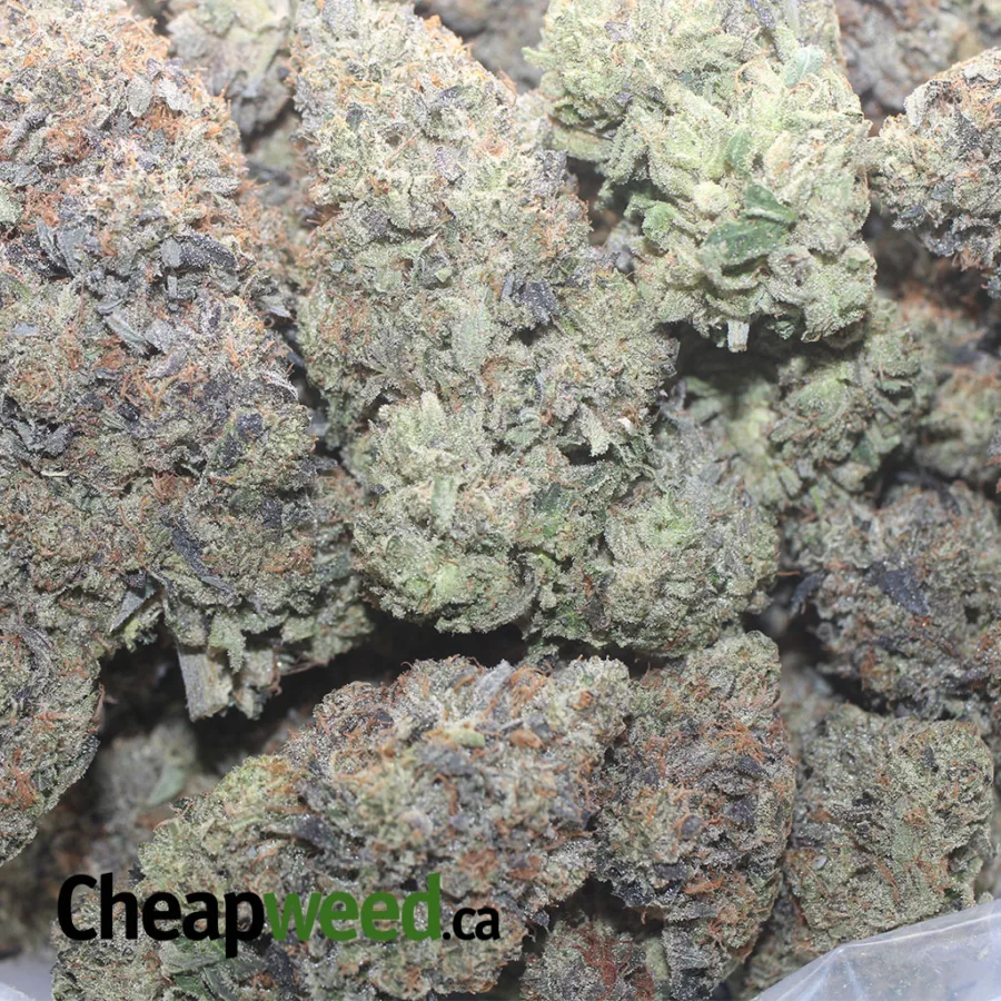 PINK GASS AAAA 1 I $ 100 Oz - Pink Gas
