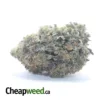 $ 100 Oz - Pink Gas