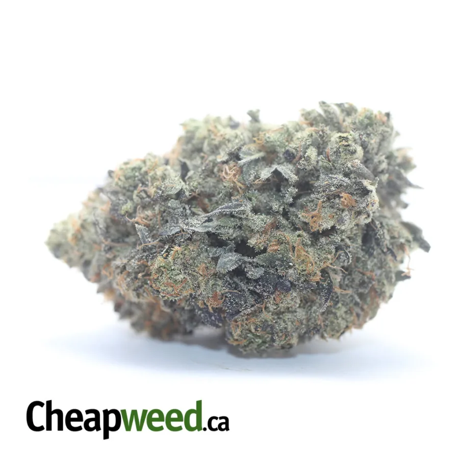 $ 100 Oz - Pink Gas