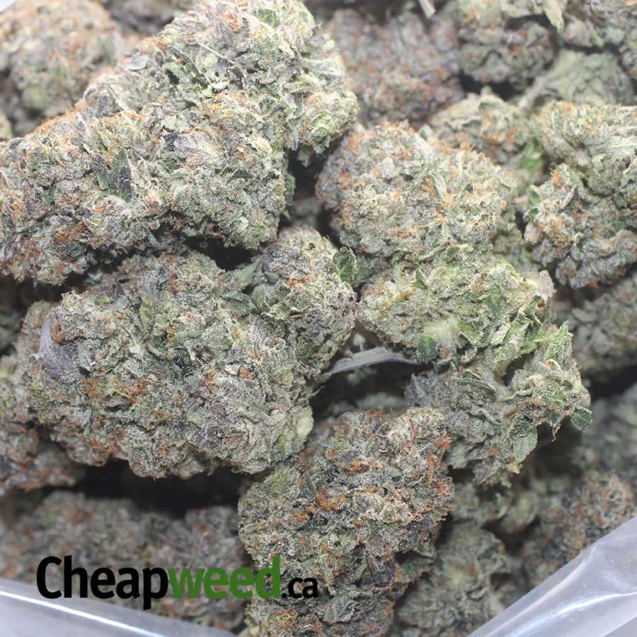 PINK ROZAY 1 I $ 115 Oz - Pink Rozay