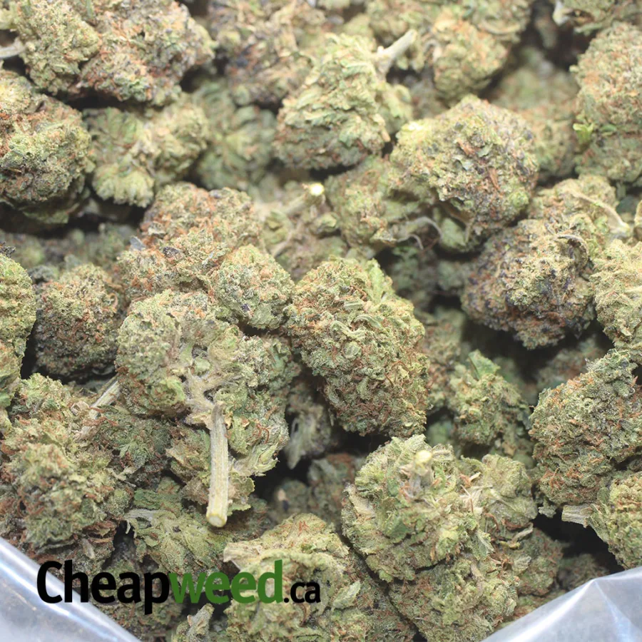 PRE 98 BUBBA KUSH 1 I Pre 98 Bubba
