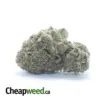 Purple Kush