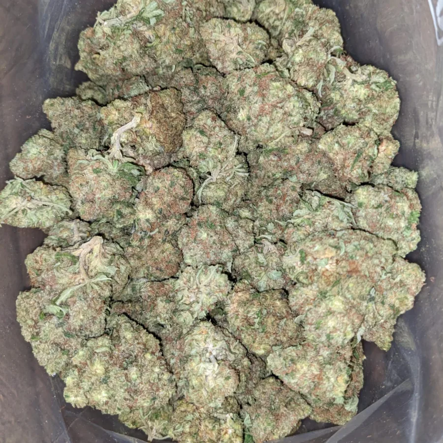 Pineapple Kush 2 1 I Pineapple Kush