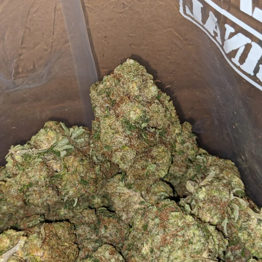 Pineapple Kush 4 I Pineapple Kush