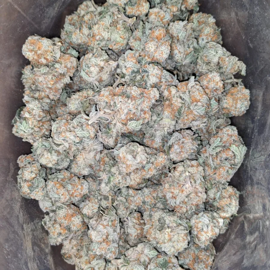 Pot Of Gold
