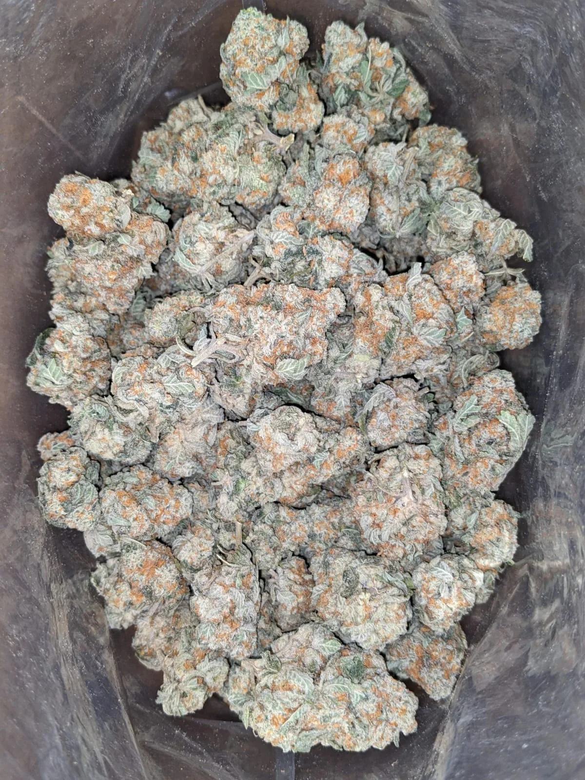Pot Of Gold - Image 5