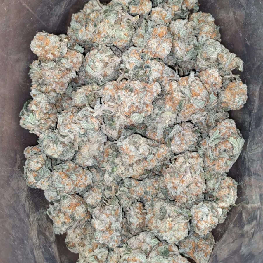 Alternative view of Pot Of Gold