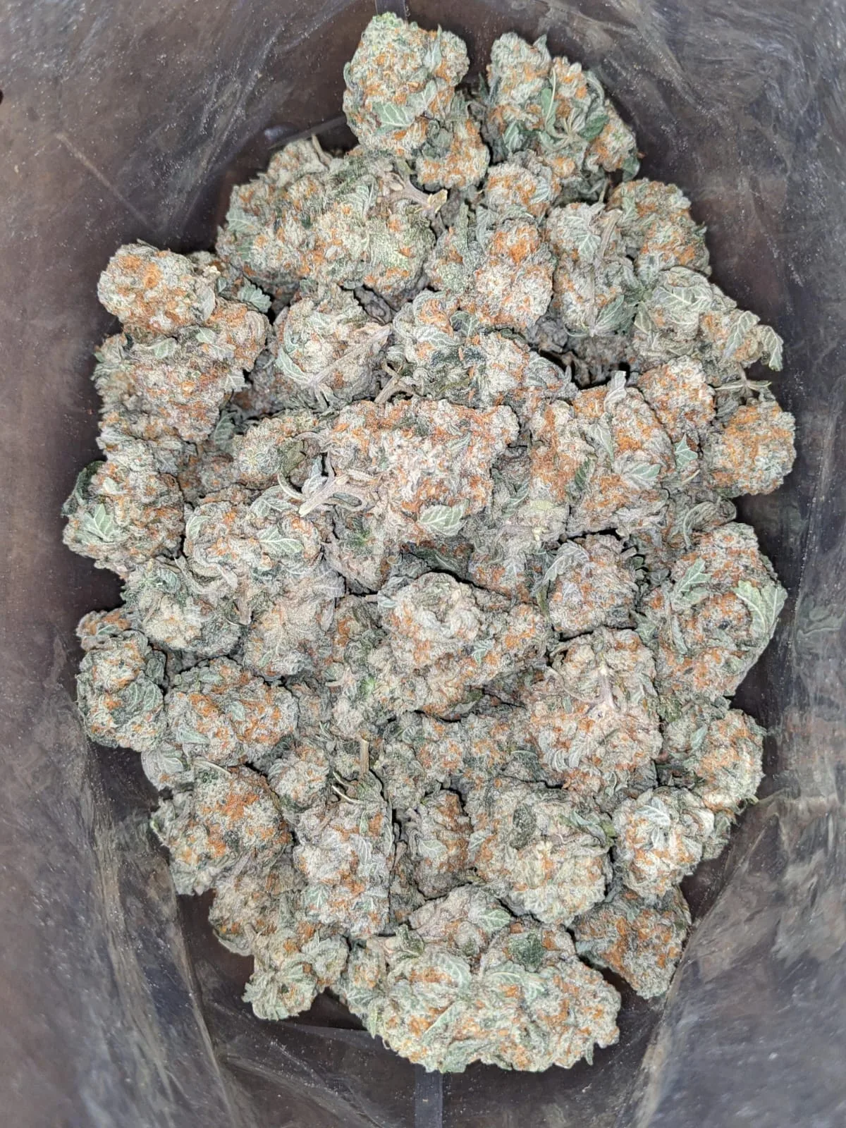 Pot Of Gold - Image 4