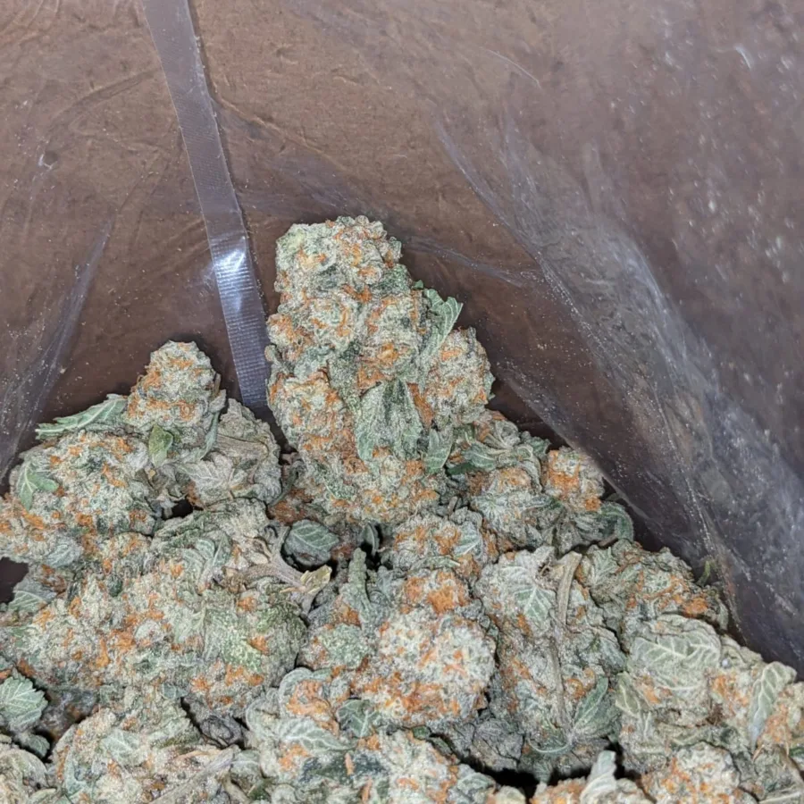 Pot Of Gold - Image 7