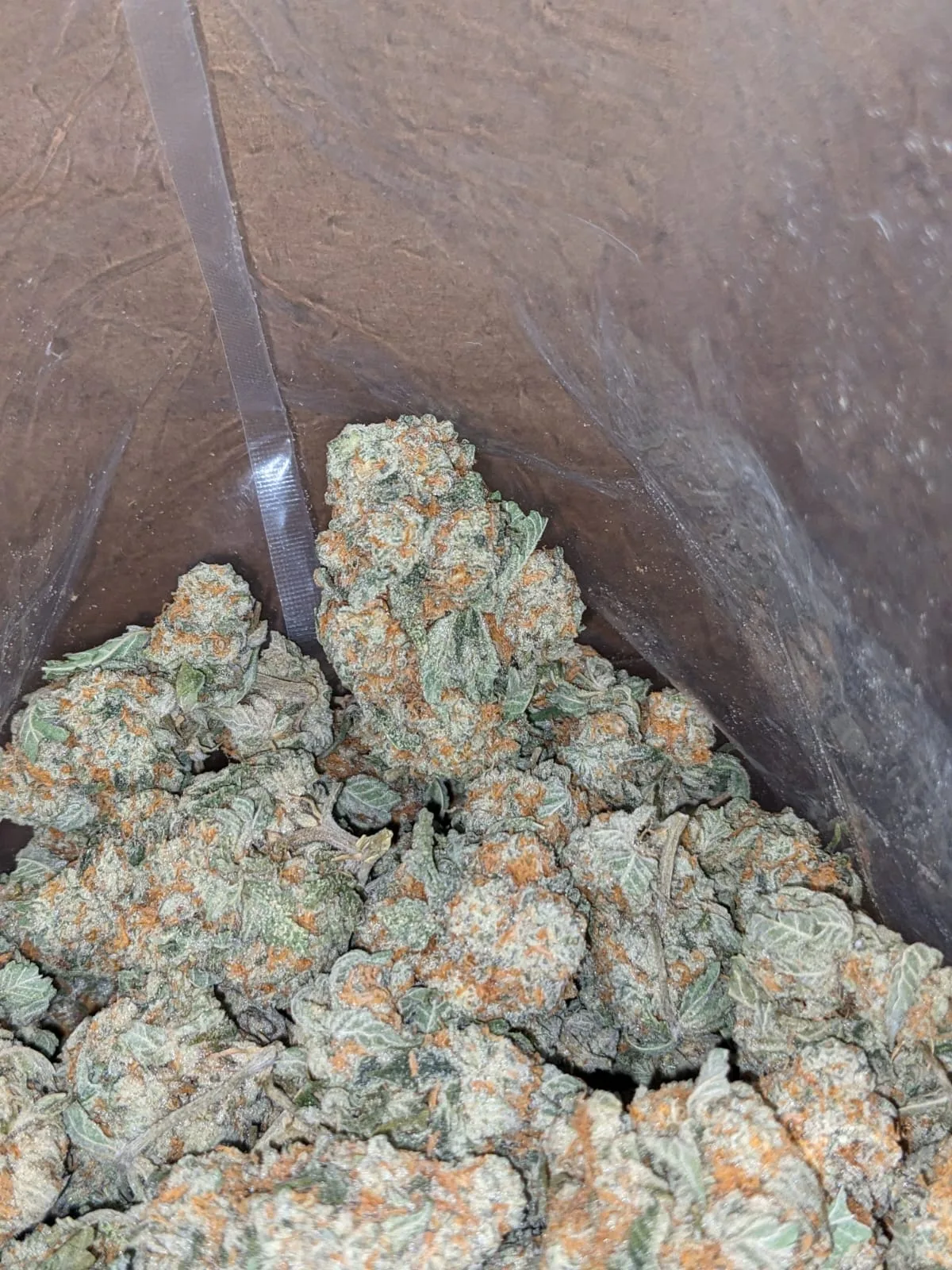 Pot Of Gold - Image 7