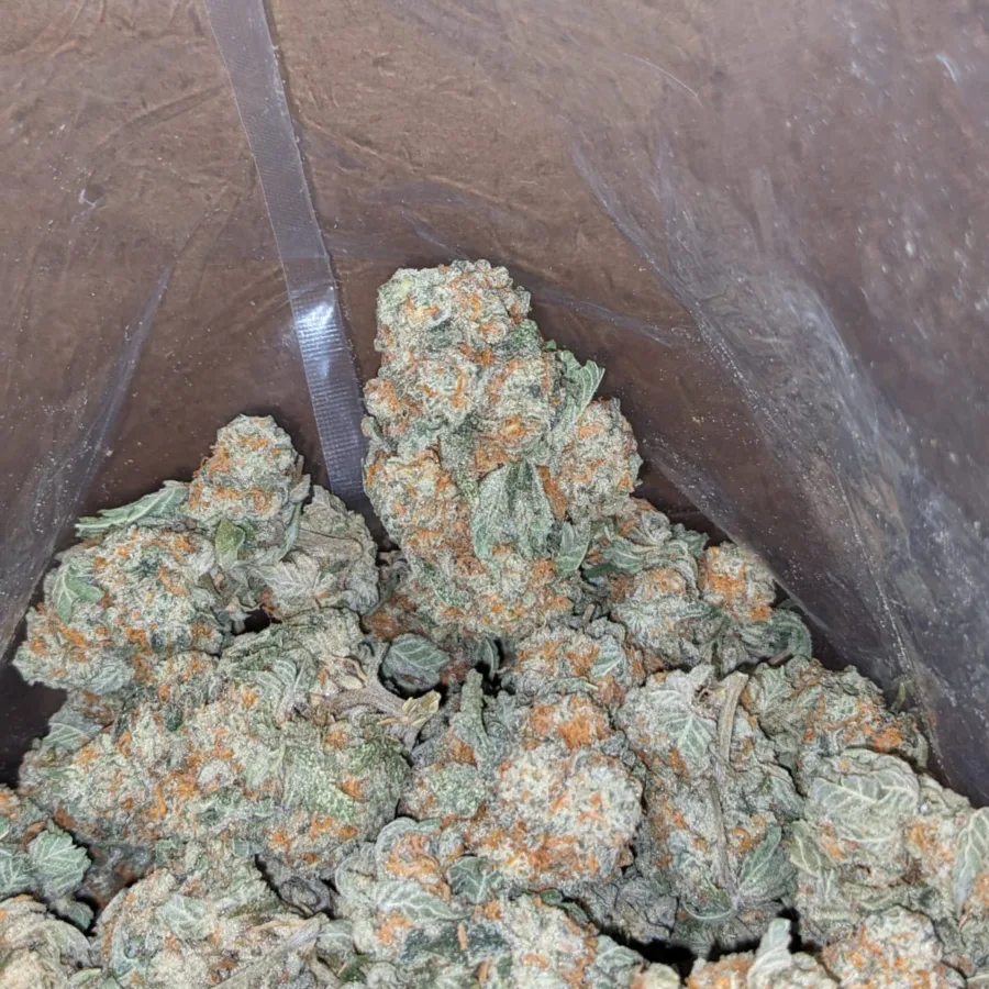 Pot Of Gold - Image 6