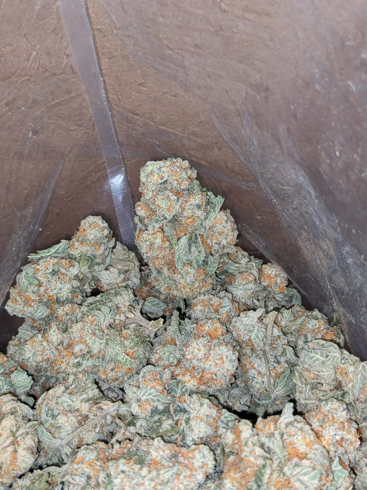 Pot Of Gold - Image 6