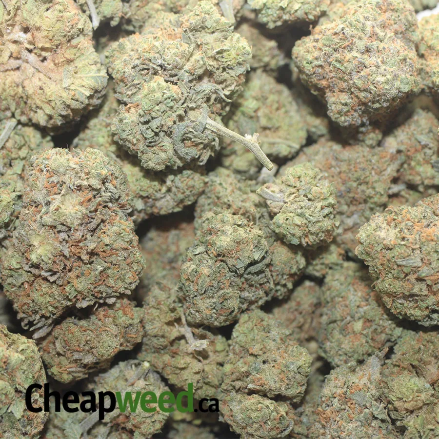 RACEFUEL 1 I $ 44 Oz - Racefuel