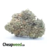 $ 44 Oz - Racefuel