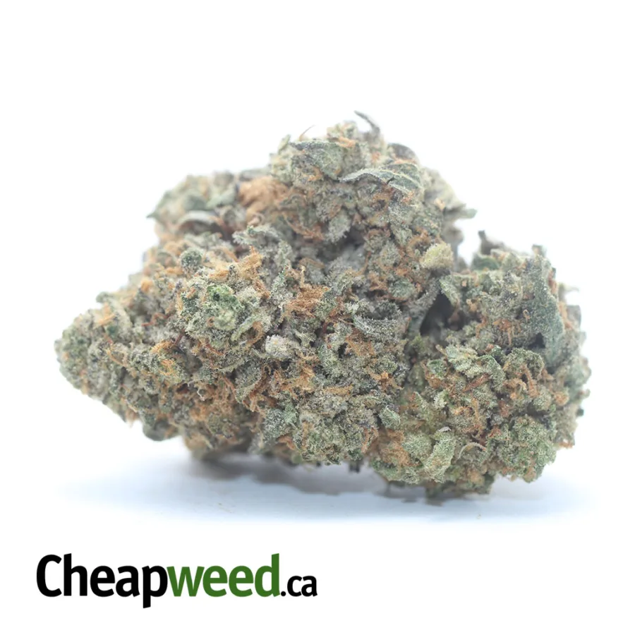 $ 44 Oz - Racefuel