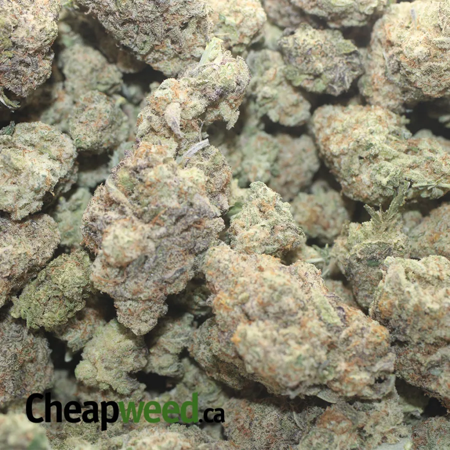 STARFIGHTER 1 I $ 47 Oz - Starfighter