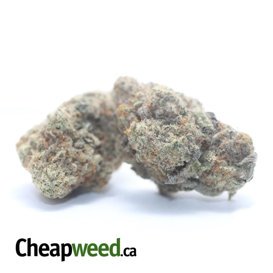 Alternative view of $ 47 Oz - Starfighter