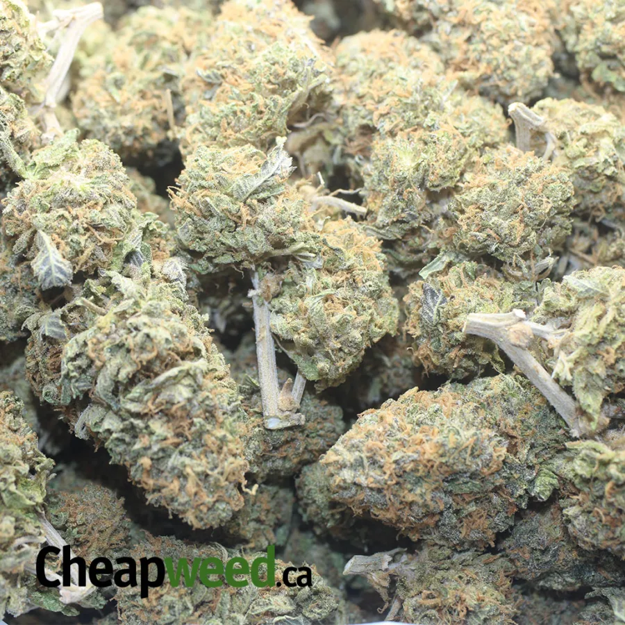 STRAWBERRY DIESEL 1 1 I Strawberry Diesel