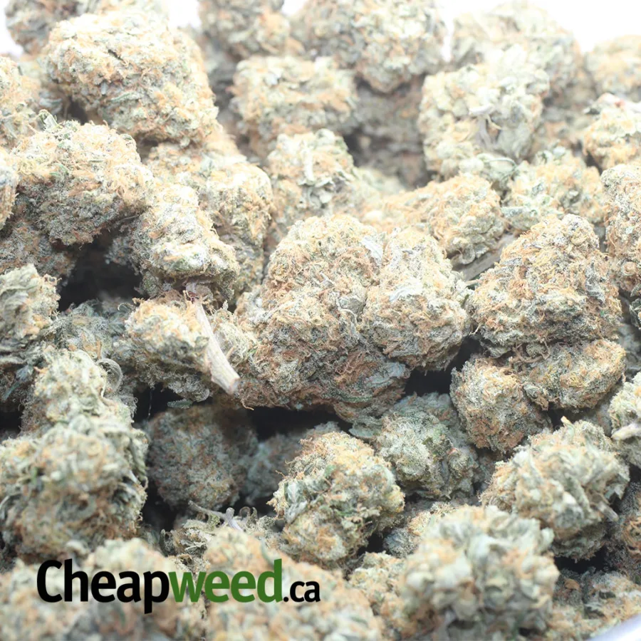 SUNDAE DRIVER 1 I $ 45 Oz - Sundae Driver