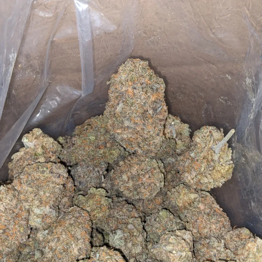 Skunk Dawg 3 I Skunk Dawg
