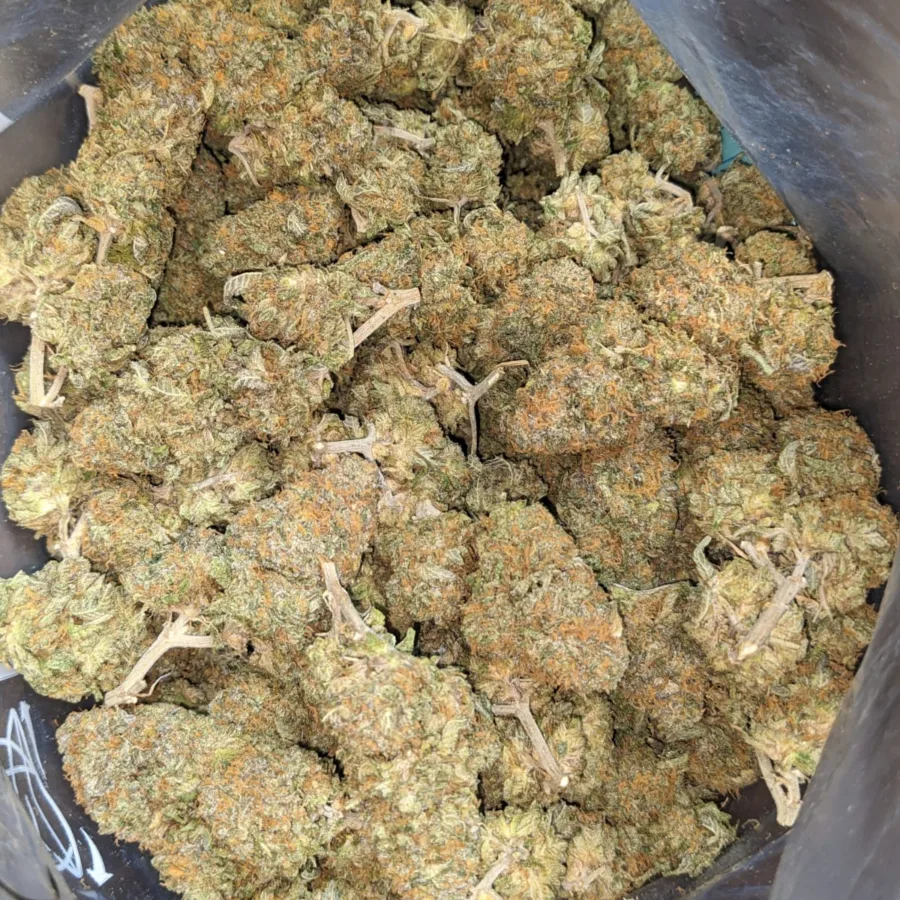 Strawberry Diesel 2 I Strawberry Diesel