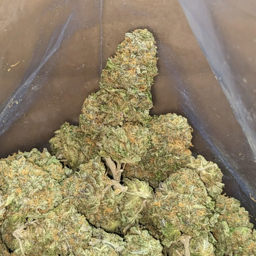 Strawberry Diesel 3 I Strawberry Diesel