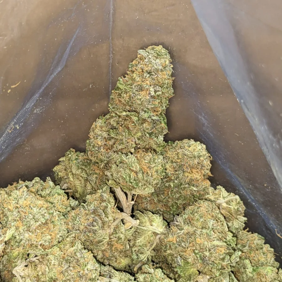 Strawberry Diesel 4 I Strawberry Diesel
