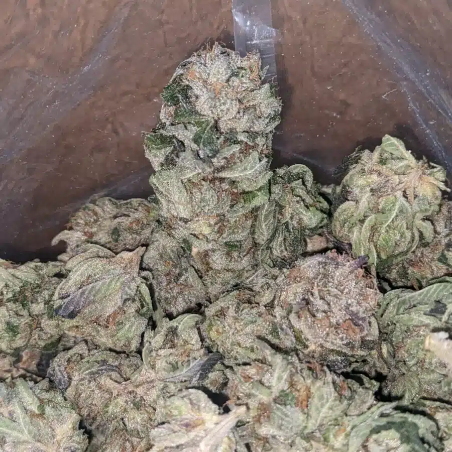 Trainwreck 1 1 I Trainwreck